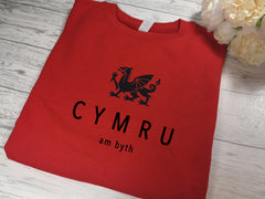 Custom Welsh dragon RED Kids CYMRU JUMPER with choice of colour detail