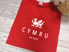 Custom Welsh Dragon RED Kids CYMRU t-shirt with choice of colour detail