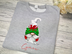 Custom KIDS welsh GREY cymru jumper boy or girl gonk gnomes rugby